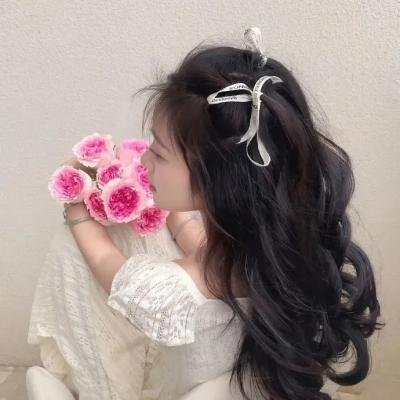 娘娘腔日记封面