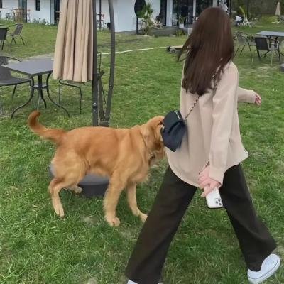 犹太女孩在上海封面